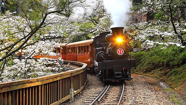 Train de montagne Alishan Forest Railway
