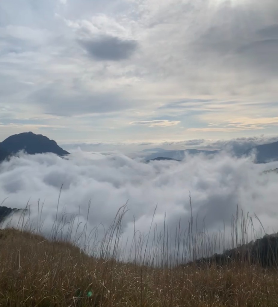 Mer de nuages spectaculaire vue depuis les crêtes de Xueshan avec des herbes d'altitude en premier plan et le profil d'un sommet rocheux